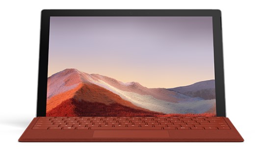 东洲清洁和维护 Surface